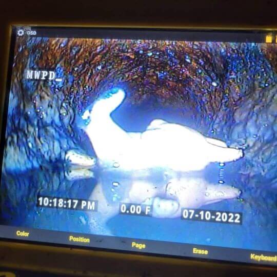 Toy Dolphin in Cast Iron Sewer Line Video camera inspection found toy dolphin in sewer line